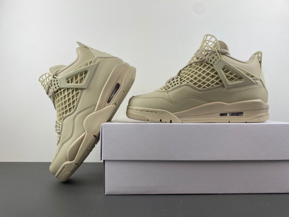 Air Jordan 4 Net Rattan FN7251-200