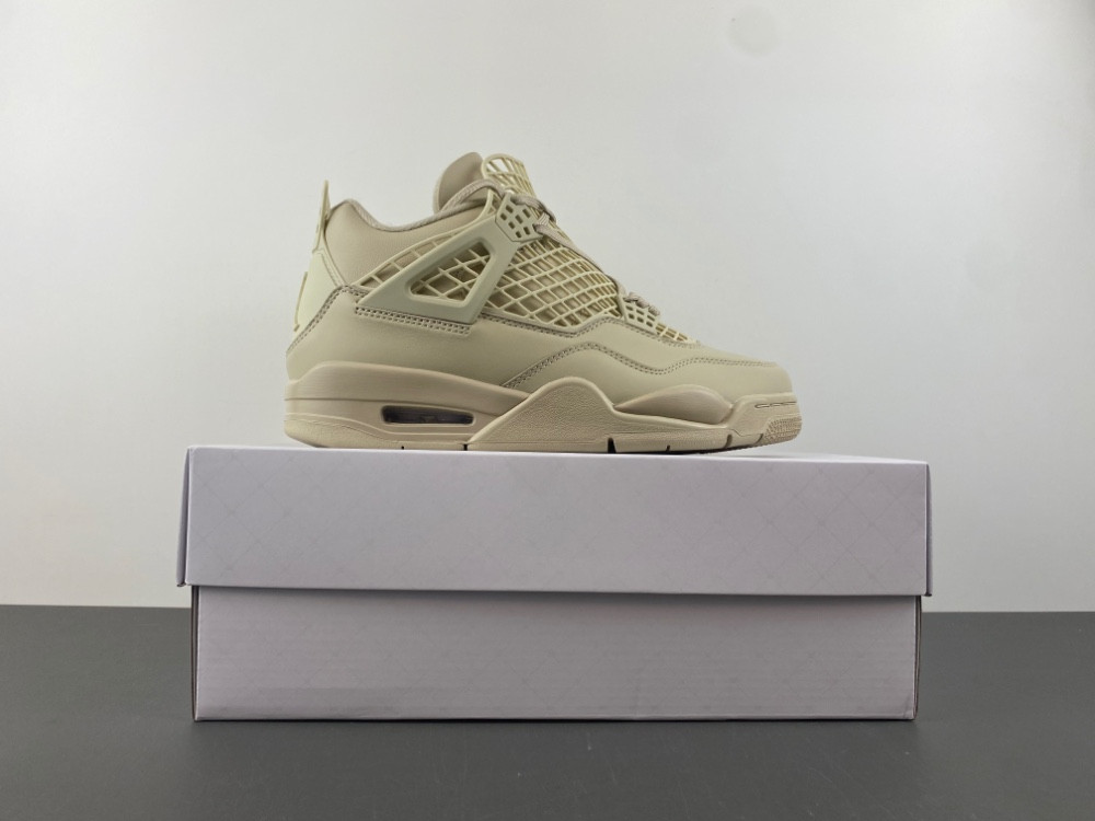 Air Jordan 4 Net Rattan FN7251-200