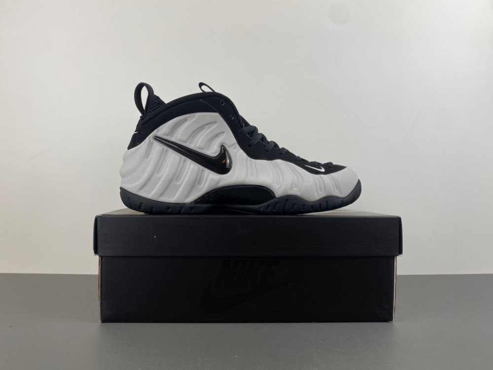 Nike Air Foamposite Pro “Wolf Grey HF0794-001