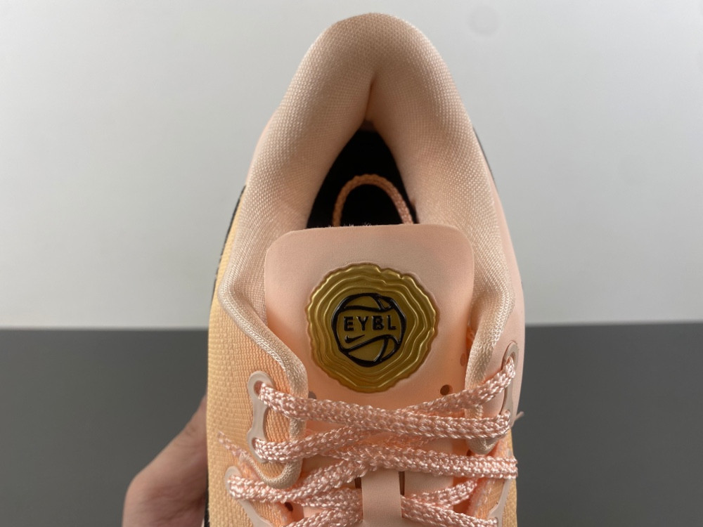 Nike Kobe 8 Protro PE EYBL HQ3138-800