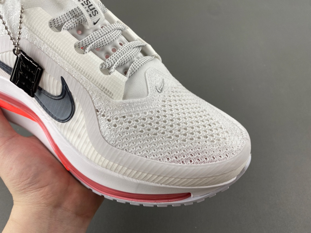 Nike Pegasus Premium Summit HQ2593-101