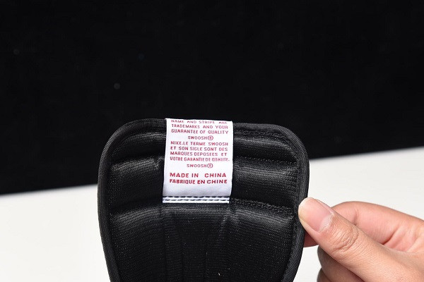 Air Jordan 1 Retro High OG “Fearless” CK5666-100