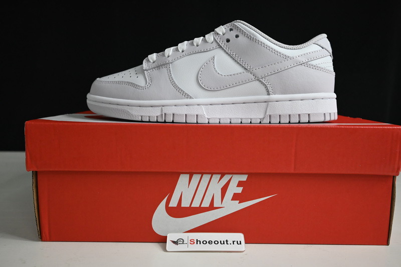 Nike Dunk Low WMNS “Venice” DD1503-116
