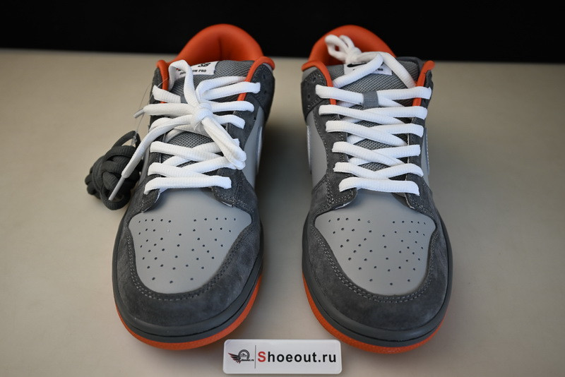 Nike SB Dunk Low 304292-011