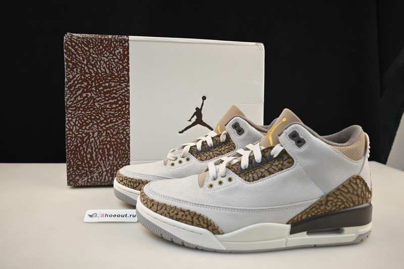 Air Jordan 3 “Palomino”  CT8532-102