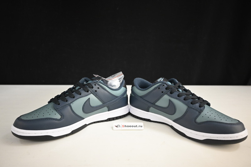 Nike Dunk Low DR9705-300