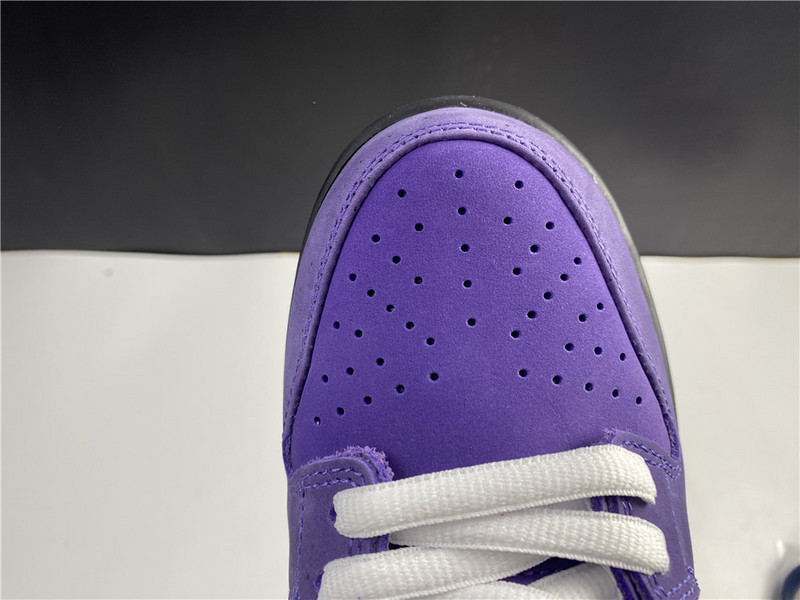 Nike SB Dunk Low Concepts Purple Lobster BV1310-555