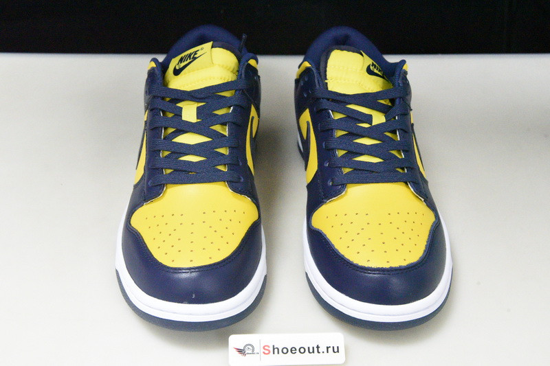 Nike Dunk Low “Michigan” DD1391-700