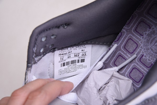 Nike Dunk SB Low Purple Pigeon 304292-051