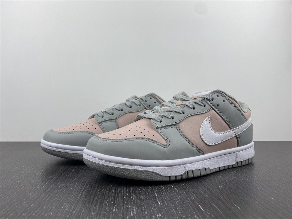 Nike Dunk Low DM8329-600