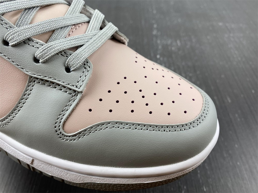 Nike Dunk Low DM8329-600