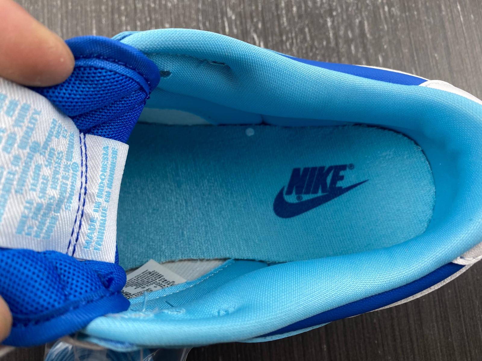 Nike Dunk Low “Argon” DM0121-400