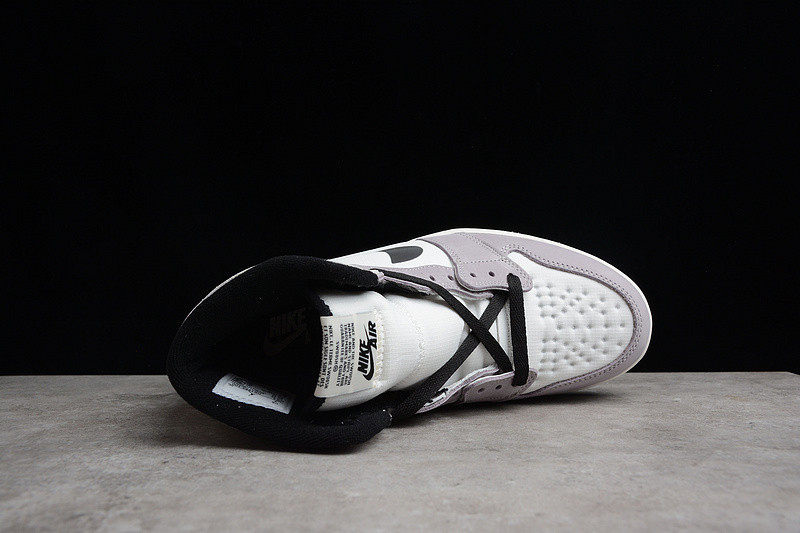 Air Jordan 1 Element "Gore-Tex" DB2889-100