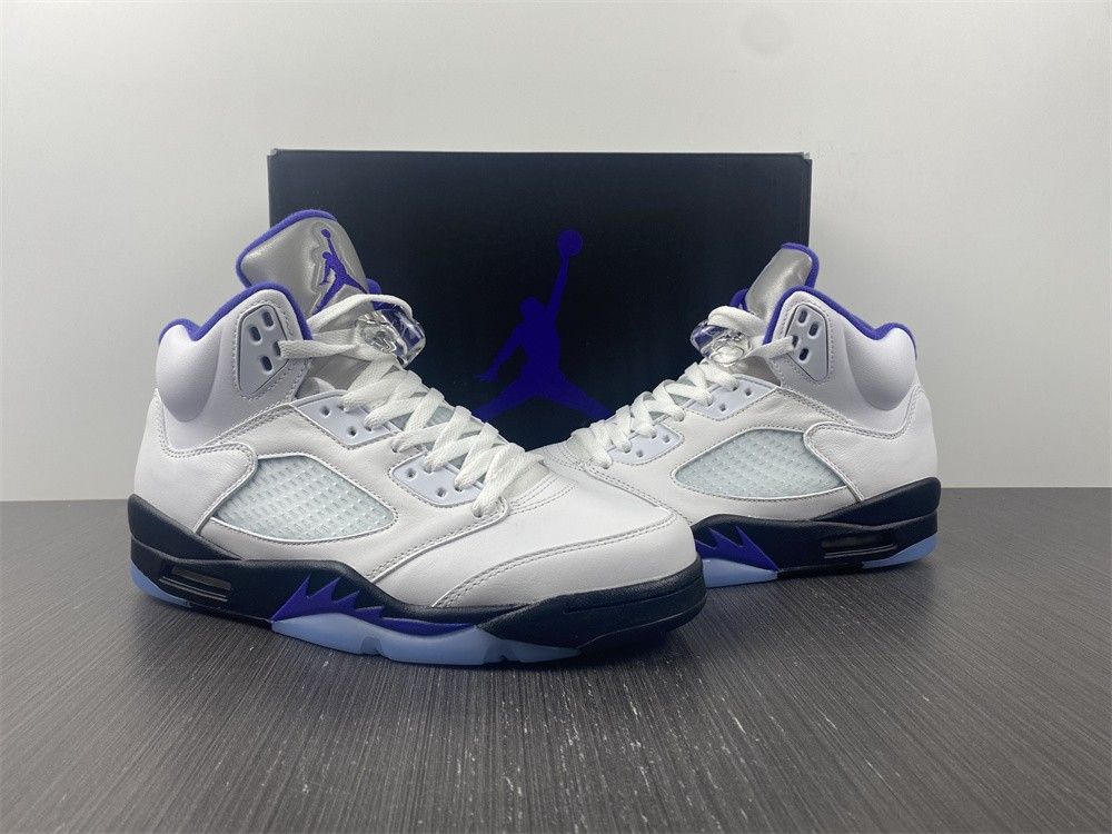 Air Jordan5 CONCORD DD0587-141