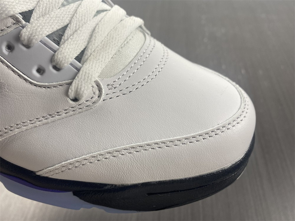 Air Jordan5 CONCORD DD0587-141
