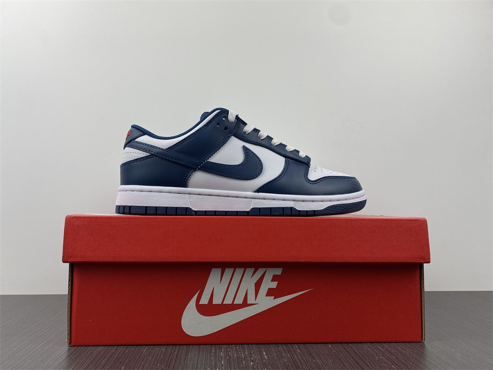 Nike dunk SB Low Retro Valerian Blue DD1391-400