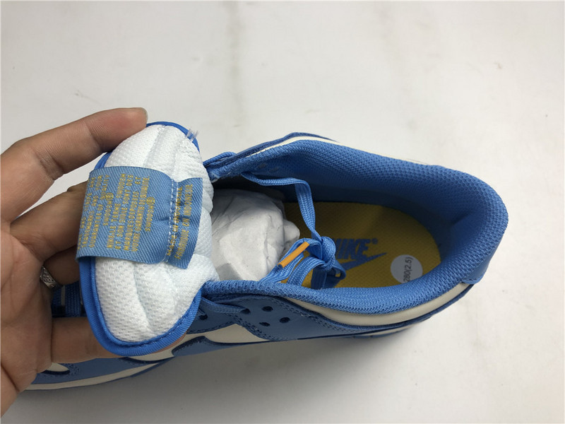 Nike Dunk Low Coast DD1503-100