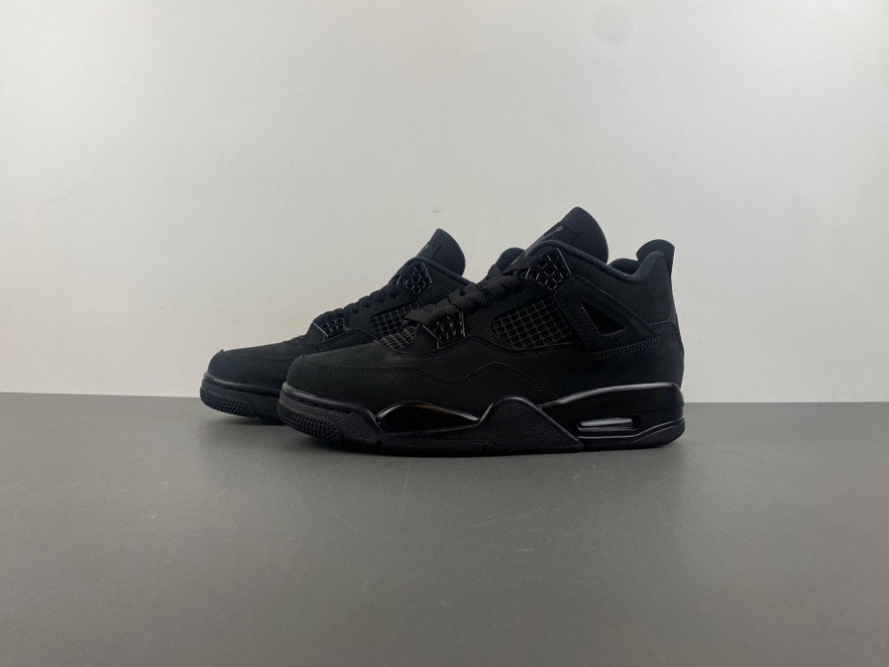 Air Jordan 4 “Black Cat” FV5029-010
