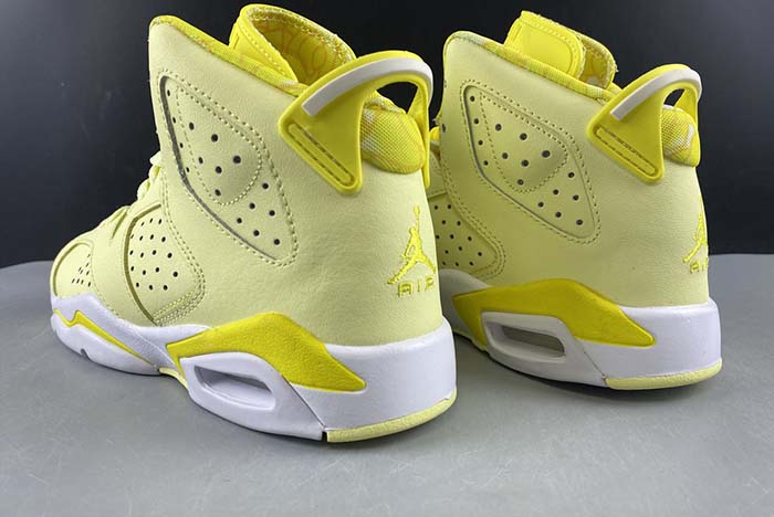 Air Jordan 6 GS “Floral” 543390-800