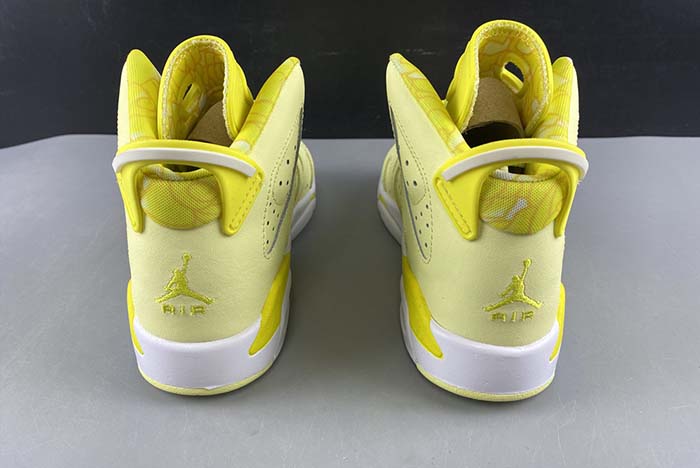 Air Jordan 6 GS “Floral” 543390-800