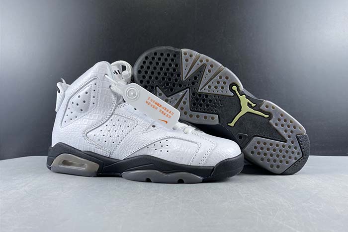 Air Jordan 6 GS “Alligator” 384665-110