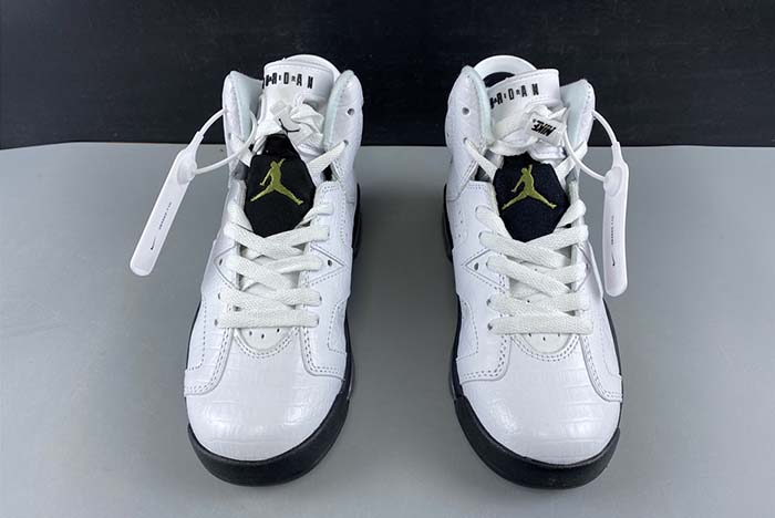 Air Jordan 6 GS “Alligator” 384665-110