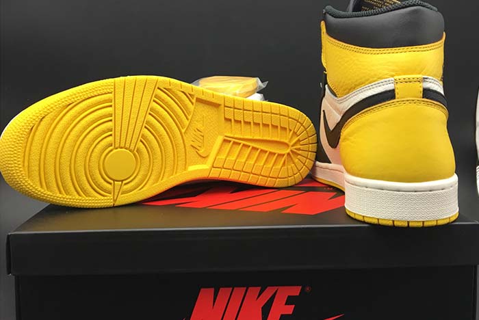 Air Jordan 1 AR1020-700