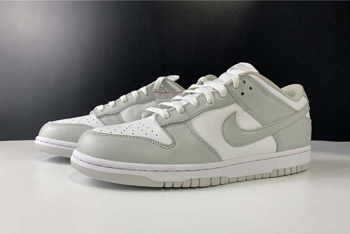 Nike SB Dunk Low Silver ash killer CU1726-201