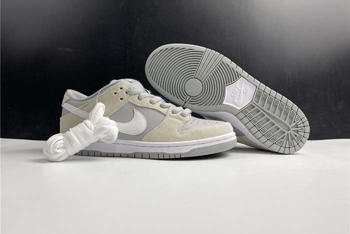 【TOM】Nike Dunk SB L TRD AR0778-110