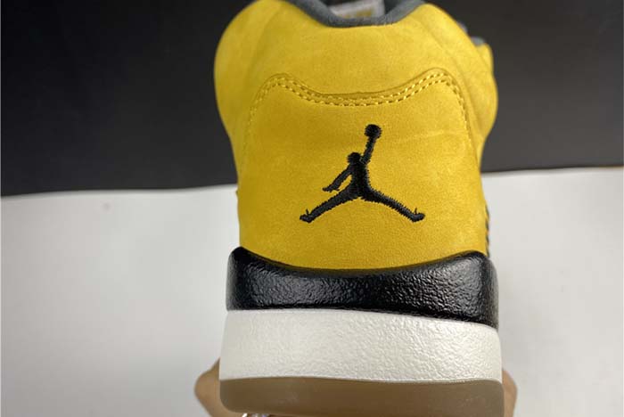 AJ5 Air Jordan Tokyo 454783-701