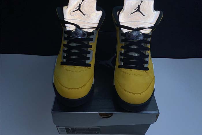 AJ5 Air Jordan Tokyo 454783-701