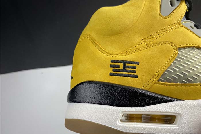 AJ5 Air Jordan Tokyo 454783-701