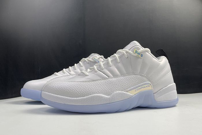 Air Jordan 12 DB0733-190