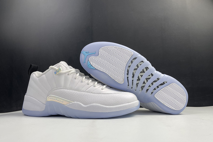 Air Jordan 12 DB0733-190