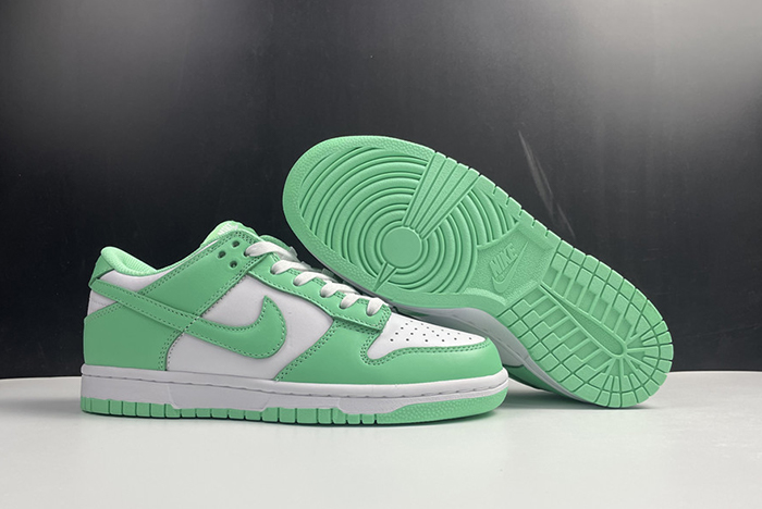 NIKE DUNK LOW DD1503-105
