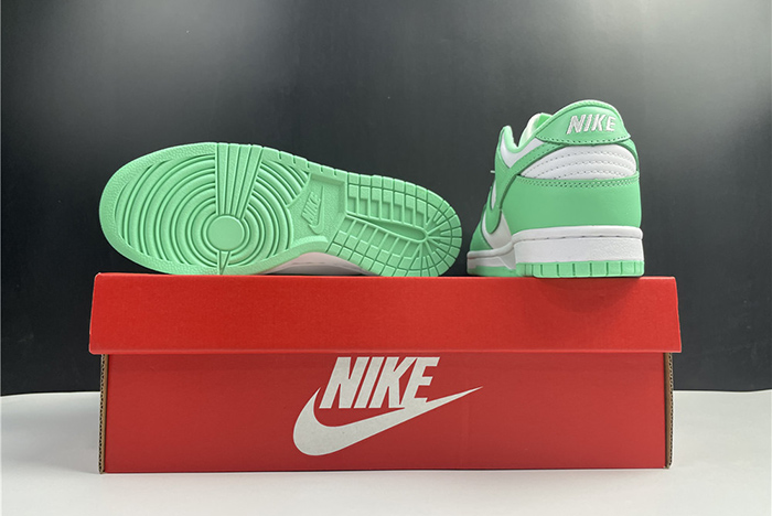 NIKE DUNK LOW DD1503-105