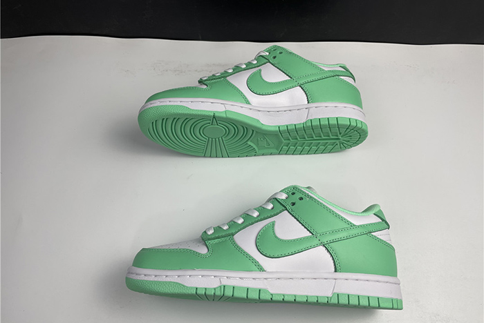 NIKE DUNK LOW DD1503-105