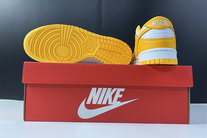 NIKE DUNK LOW  DD1503-800