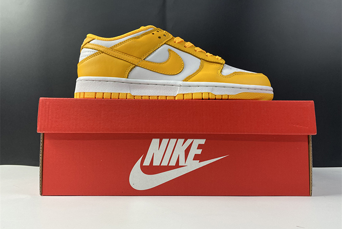 NIKE DUNK LOW  DD1503-800