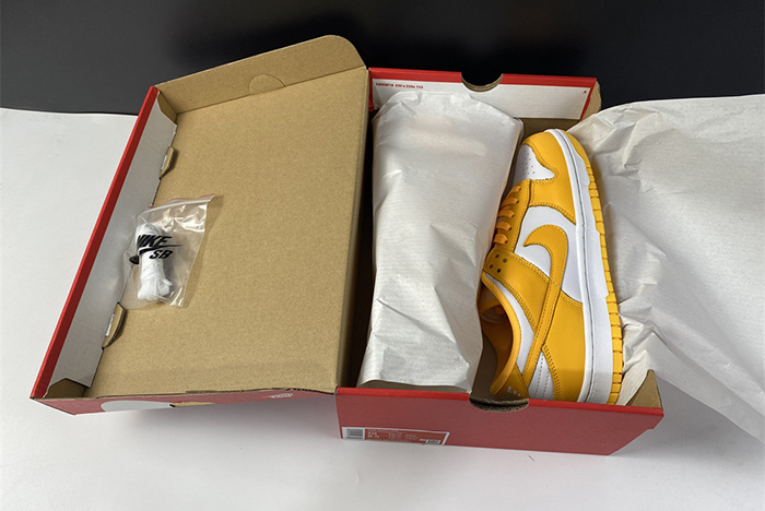 NIKE DUNK LOW  DD1503-800