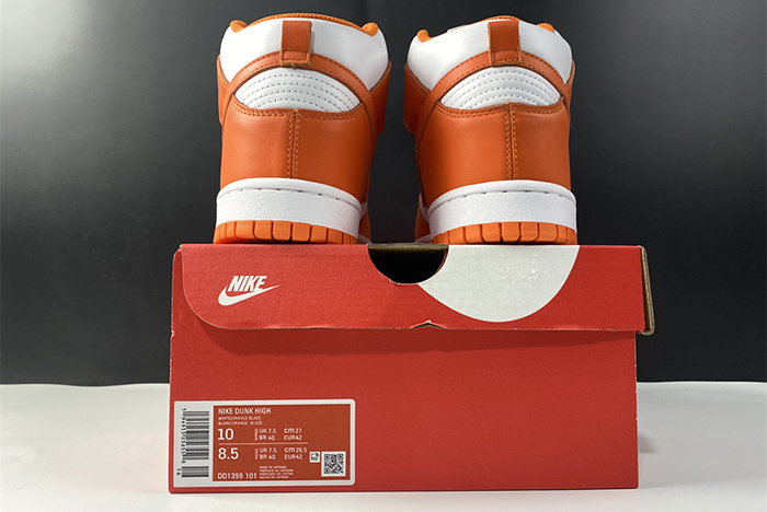 NIKE DUNK High Syracuse  DD1399-101