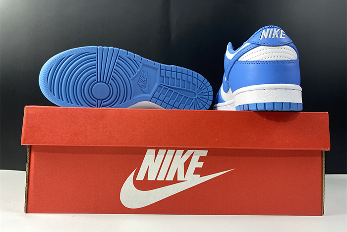 Nike Dunk Retro University Blue  DD1391-102