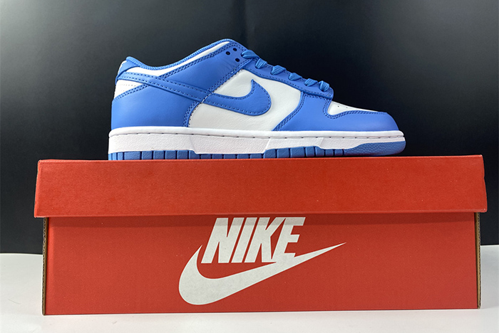 Nike Dunk Retro University Blue  DD1391-102