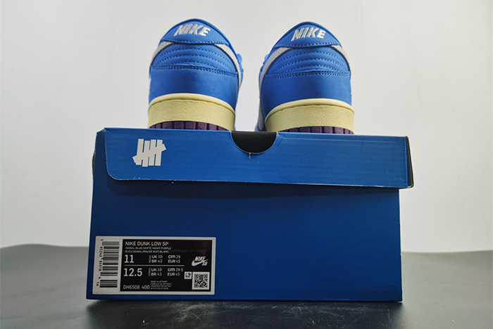 Undefeated x Nike Dunk Low DH6508-400