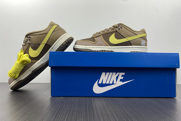 Undefeated x Nike Dunk Low DH3061-200