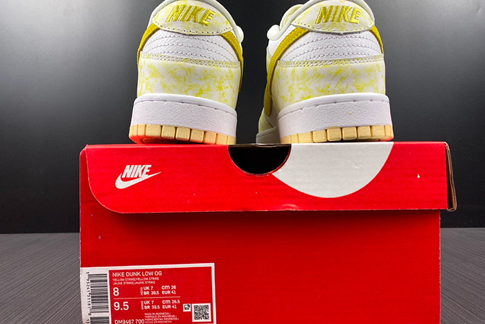 Nike Dunk low DM9467-700