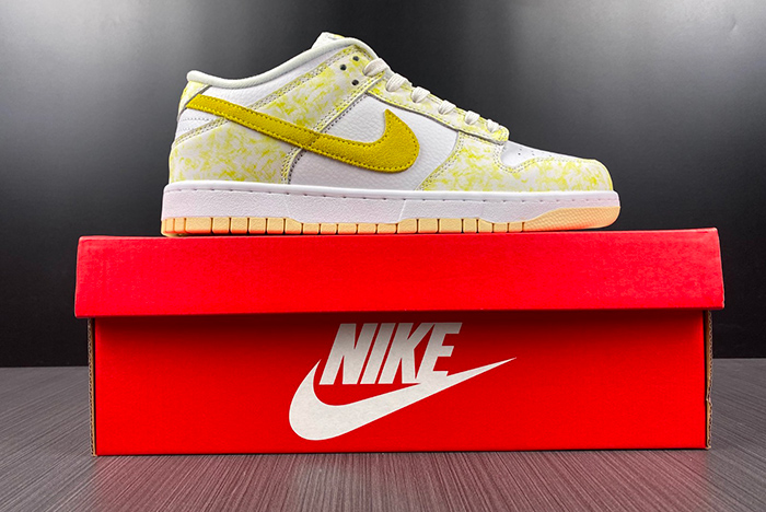 Nike Dunk low DM9467-700