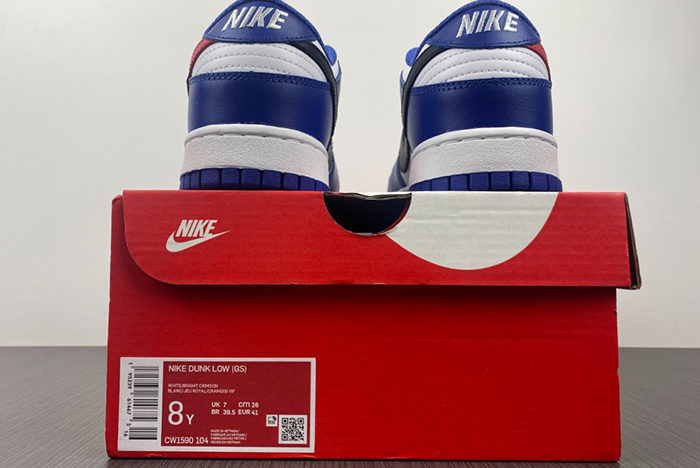 Nike Dunk low  CW1590-104