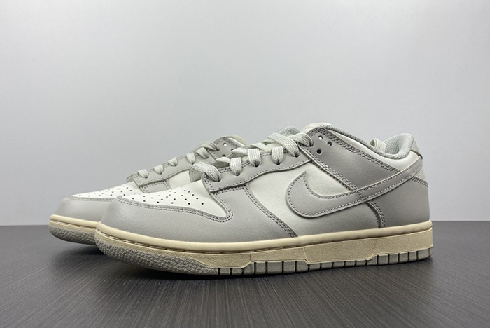 NIKE DUNK LOW DD1503-107