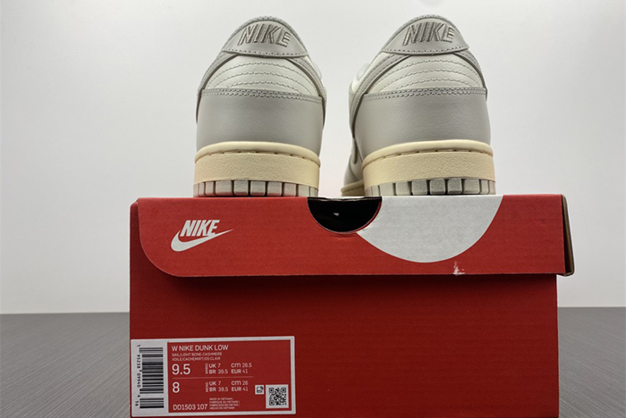 NIKE DUNK LOW  DD1503-107